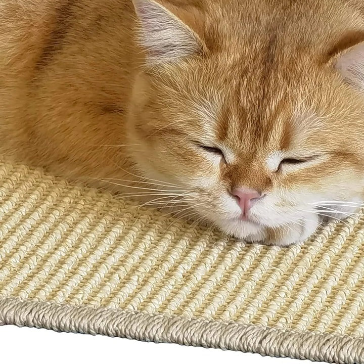Cat Scratching Mat Sisal with Wall Mount and Floor Use