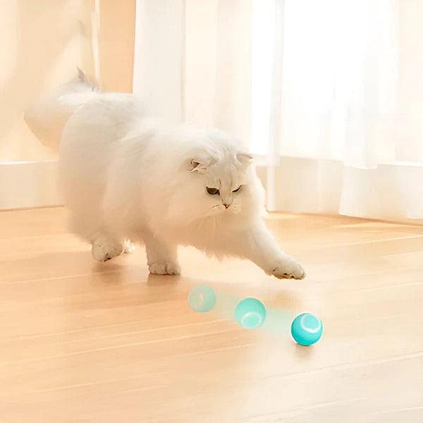 Rechargeable Automatic Rolling Interactive Ball Toy for Cats and Dogs