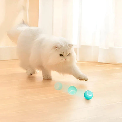 Rechargeable Automatic Rolling Interactive Ball Toy for Cats and Dogs