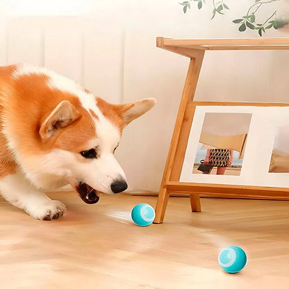Rechargeable Automatic Rolling Interactive Ball Toy for Cats and Dogs