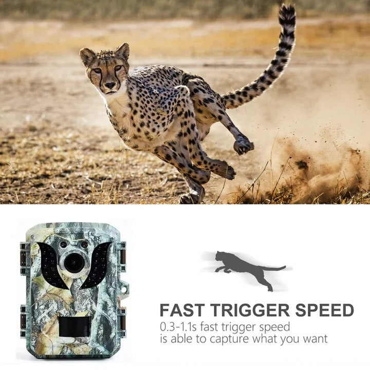 Motion Activated Trail Camera with Night Vision and HD Video Capture