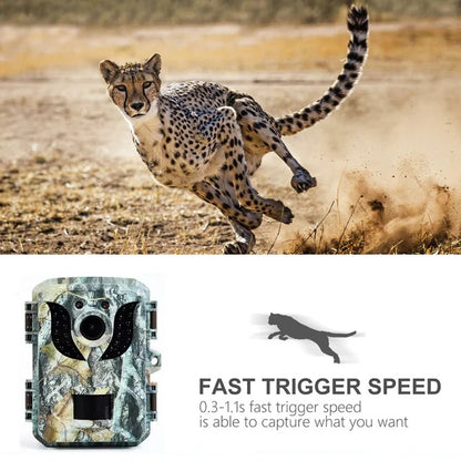 Motion Activated Trail Camera with Night Vision and HD Video Capture