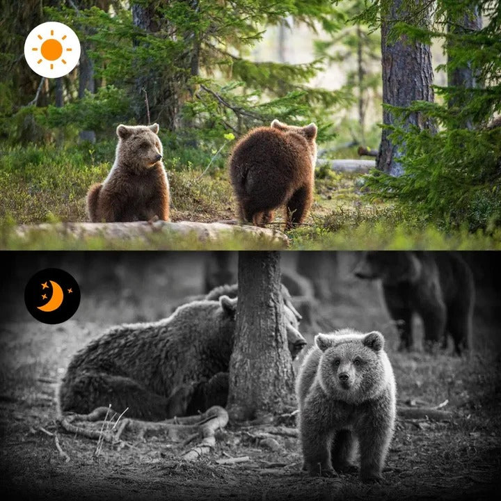 Wide Angle Hunting Camera with Enhanced Infrared Night Detection