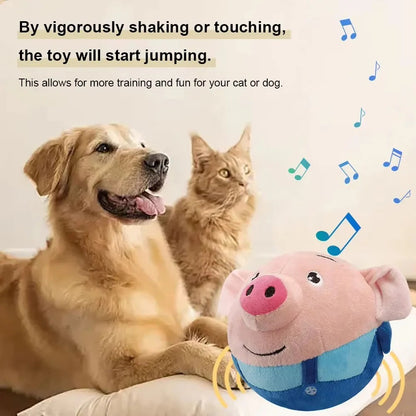 Self Moving Dog Ball with Built In Music and Vibration for Play Use
