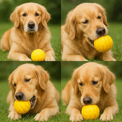 Durable Dog Training Ball and Chew Ring for Outdoor Fetch and Play