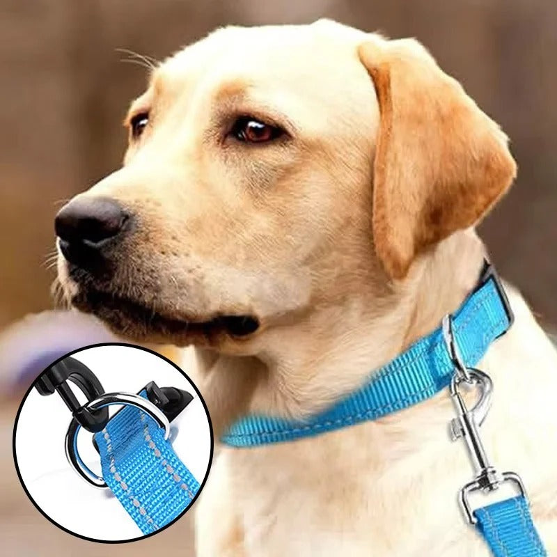 Retractable Walking Leash for Dogs of with Hiking Grip Handle