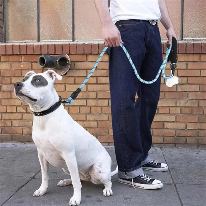 Padded Handle Dog Leash with Reflective Safety Strip