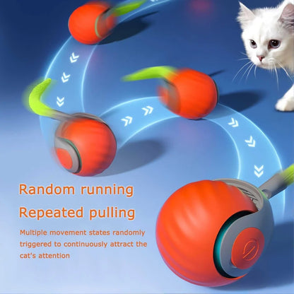 Motion Activated Cat Toys with Feather Tail, 2 Pack Bundle