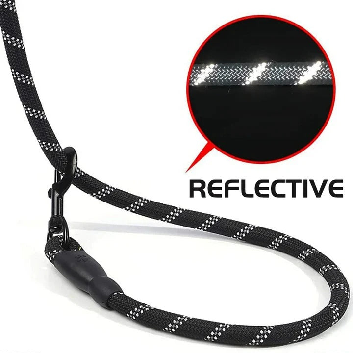 Padded Handle Dog Leash with Reflective Safety Strip