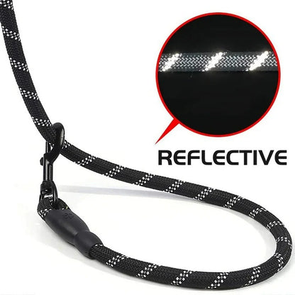 Padded Handle Dog Leash with Reflective Safety Strip