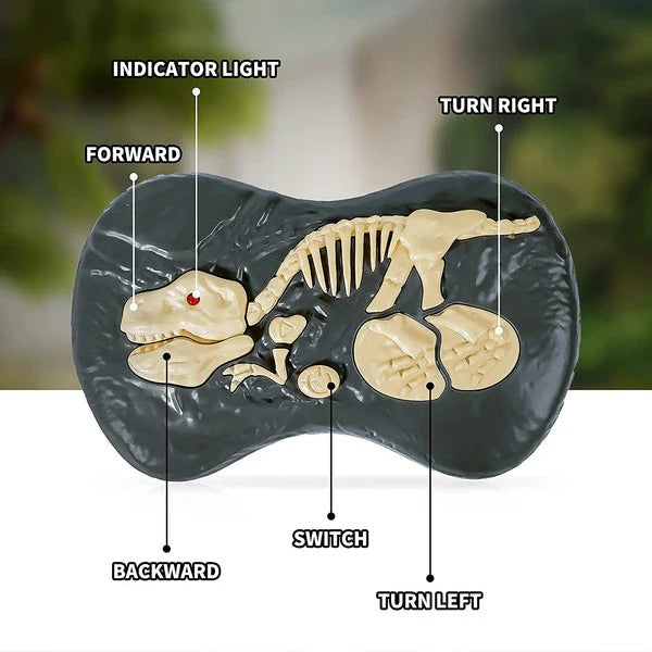 RC Dinosaur Toy with Walking Motion and Roaring Sound Effects