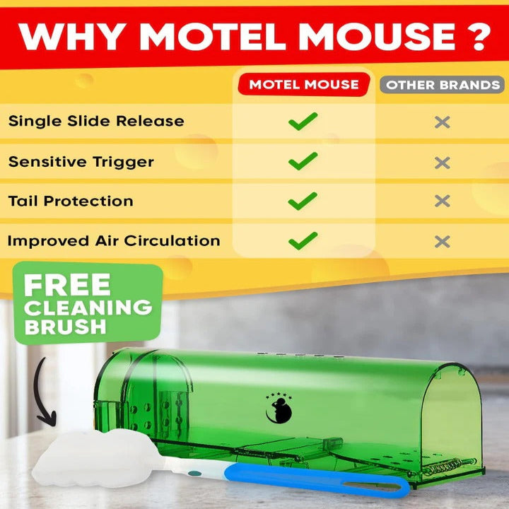 Reusable Mouse Trap Containers with One Way Entrance, Set of 4