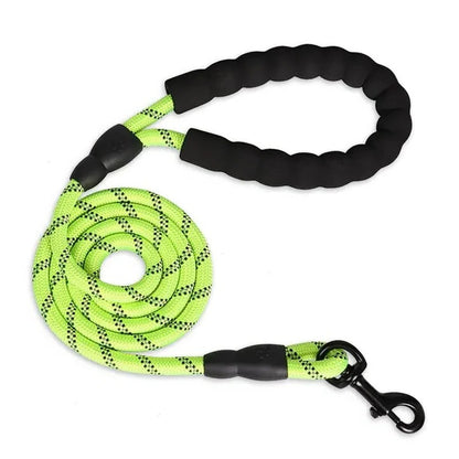 Padded Handle Dog Leash with Reflective Safety Strip
