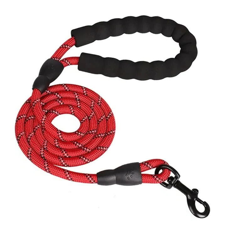 Padded Handle Dog Leash with Reflective Safety Strip