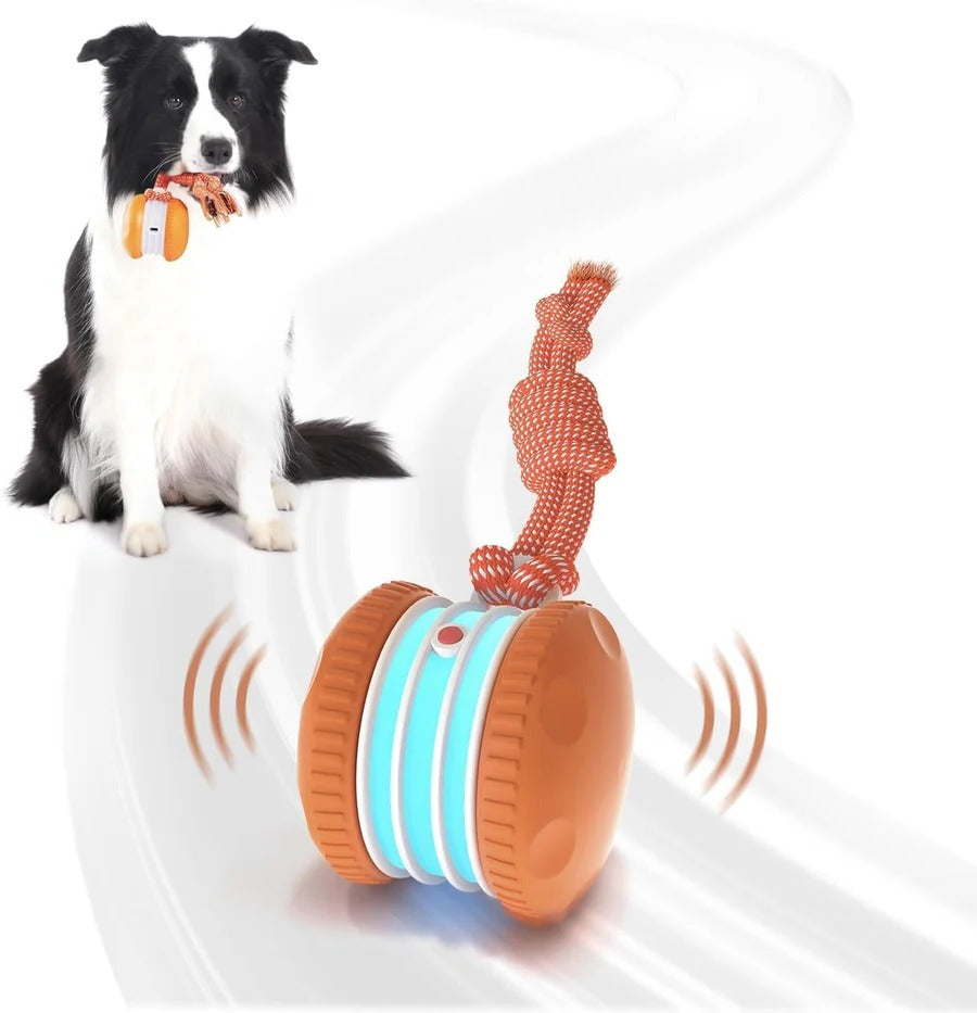 Motion Sensor Dog Ball with Rope Attachment, 2 Pack Bundle