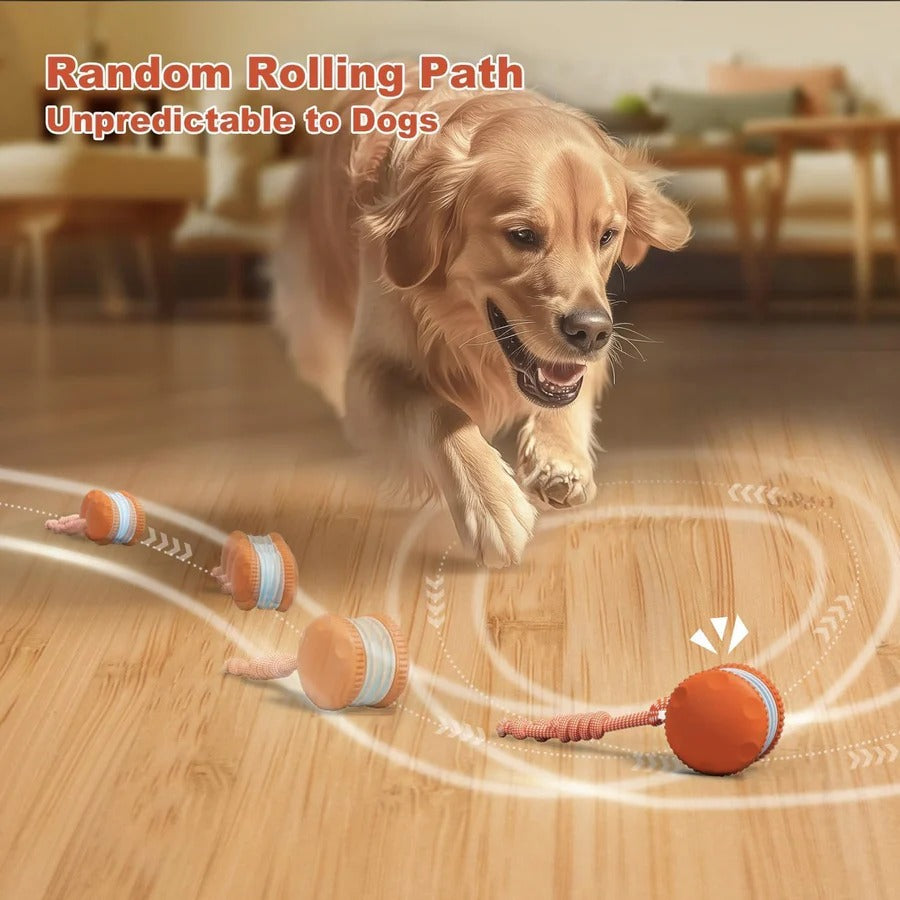 Motion Sensor Dog Ball with Rope Attachment, 2 Pack Bundle