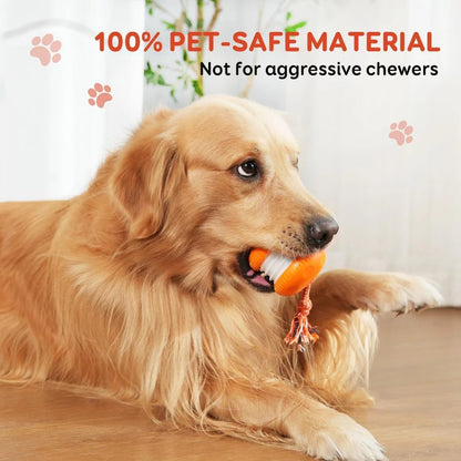 Motion Sensor Dog Ball with Rope Attachment, 2 Pack Bundle