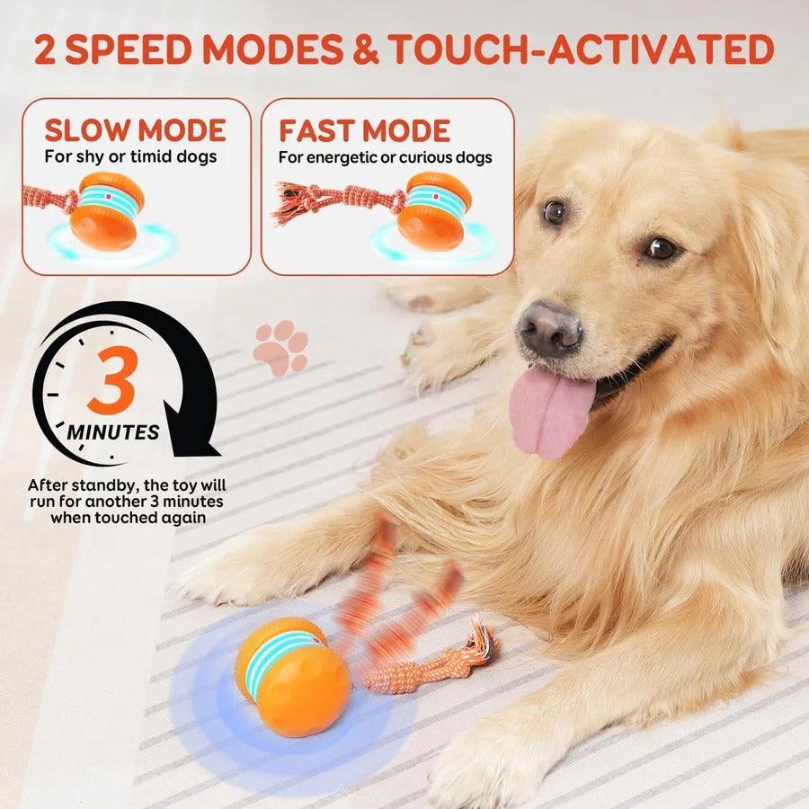Motion Sensor Dog Ball with Rope Attachment, 2 Pack Bundle