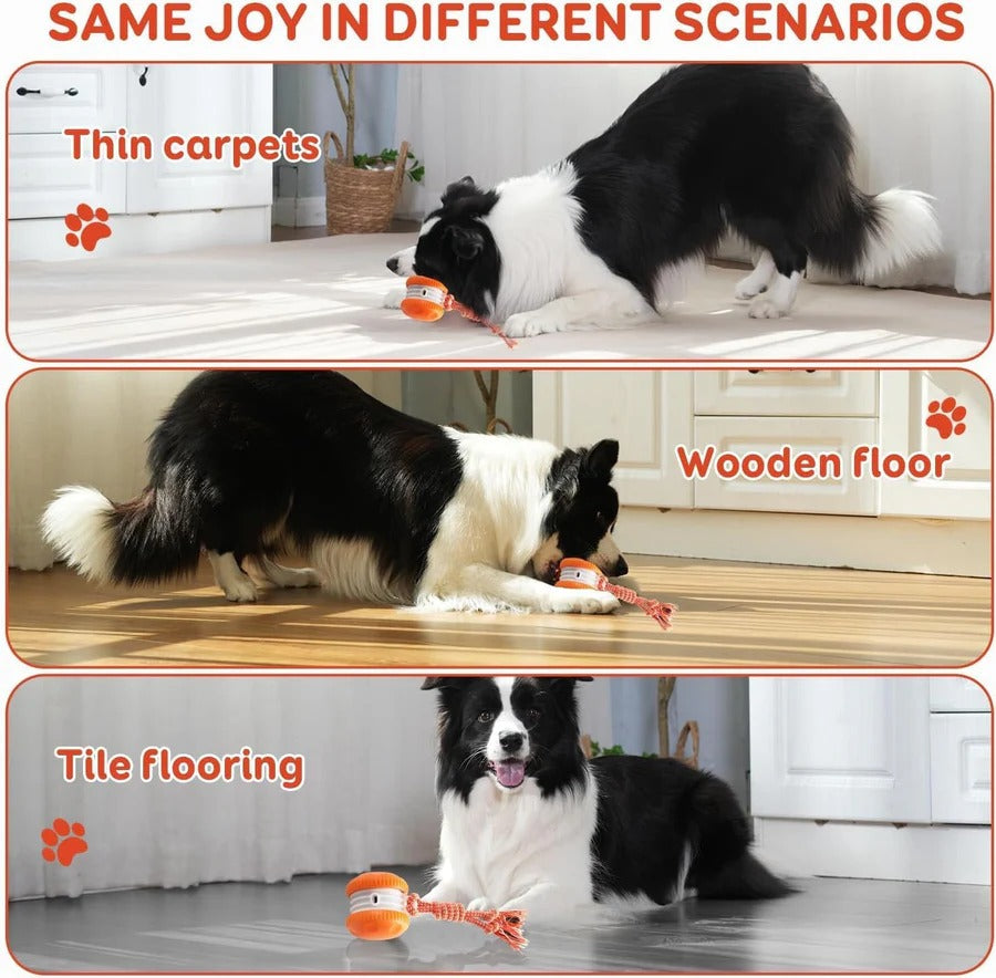 Motion Sensor Dog Ball with Rope Attachment, 2 Pack Bundle