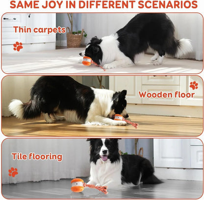 Motion Sensor Dog Ball with Rope Attachment, 2 Pack Bundle