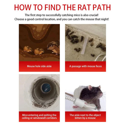 Reusable Rodent Capture Cage with Sliding Door and Iron Body Design