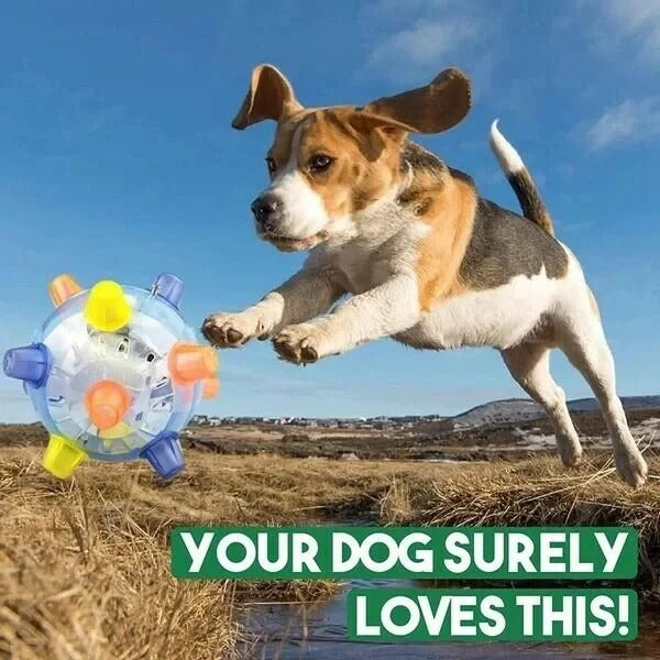 LED Jumping Ball for Dogs, Interactive Bouncing Light-Up Toy