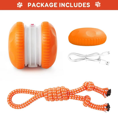 Motion Sensor Dog Ball with Rope Attachment, 2 Pack Bundle