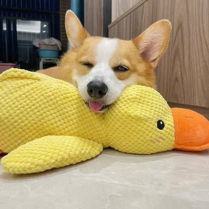 Quiet Duck Ally and Gentle Doggy Toy