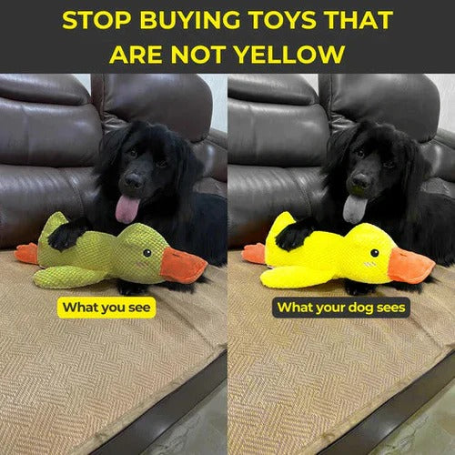 Quiet Duck Ally and Gentle Doggy Toy