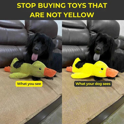 Quiet Duck Ally and Gentle Doggy Toy