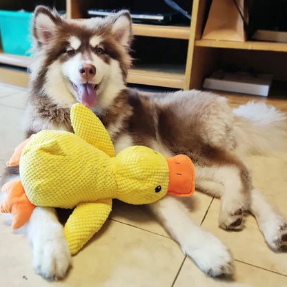 Quiet Duck Ally and Gentle Doggy Toy