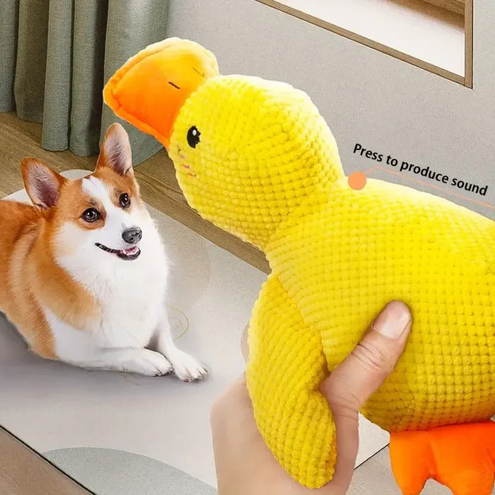 Quiet Duck Ally and Gentle Doggy Toy