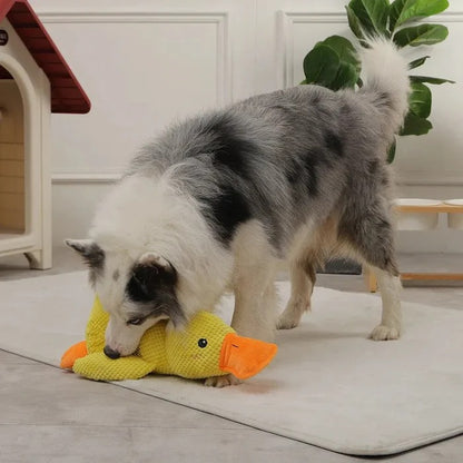 Quiet Duck Ally and Gentle Doggy Toy
