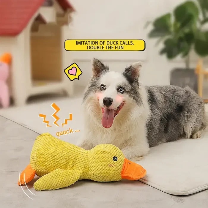 Quiet Duck Ally and Gentle Doggy Toy