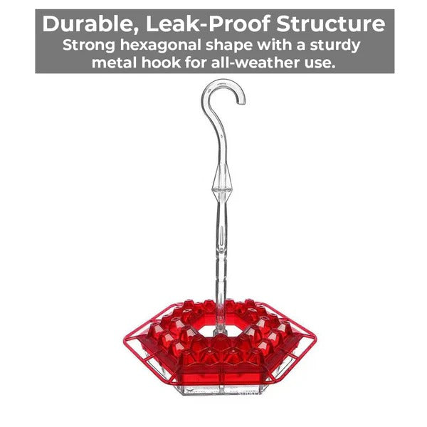 Hanging Hummingbird Feeder with 30 Ports and 12oz Capacity