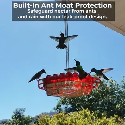 Hanging Hummingbird Feeder with 30 Ports and 12oz Capacity