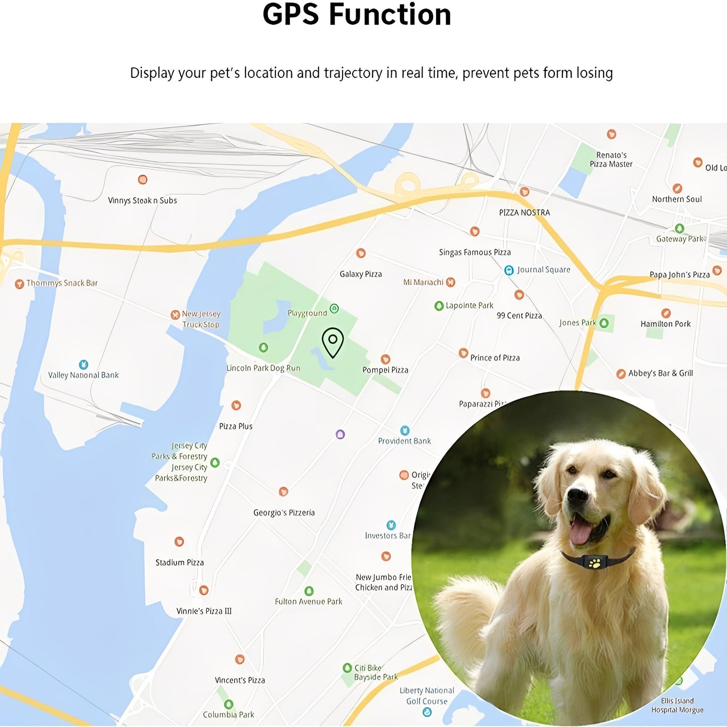 GPS Pet Collar with Real Time Tracking and Geo Fence Alerts