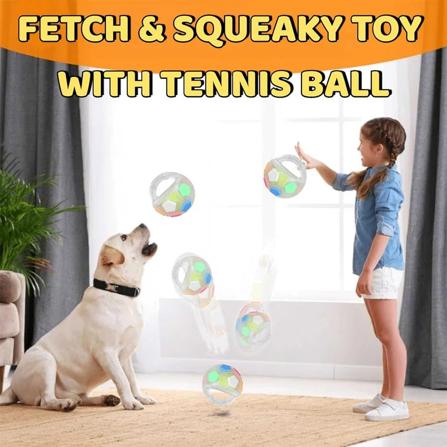Heavy Duty Rubber Football Chew Toy with Ball in Bottle Design