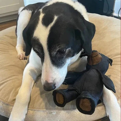 Bear-Shaped Dog Toy with Squeaker