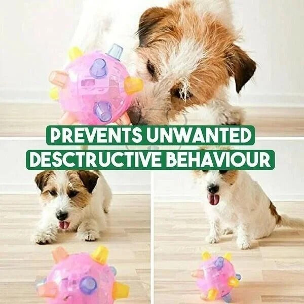 LED Jumping Ball for Dogs, Interactive Bouncing Light-Up Toy