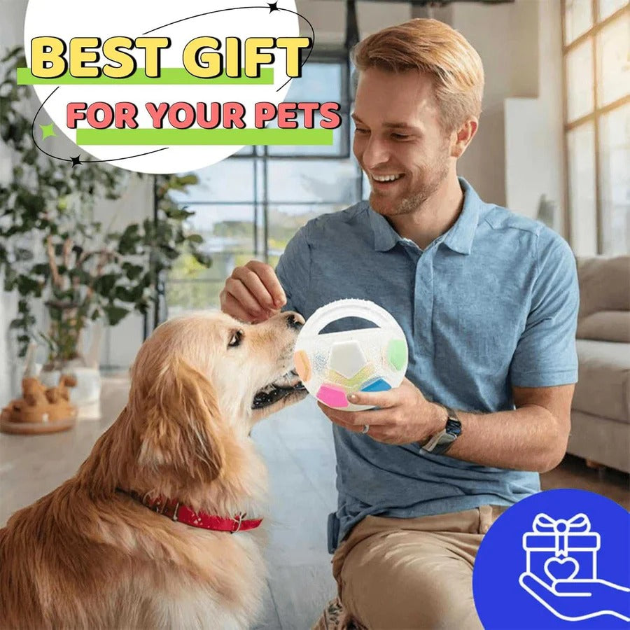 Heavy Duty Rubber Football Chew Toy with Ball in Bottle Design
