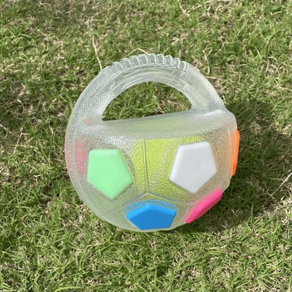 Heavy Duty Rubber Football Chew Toy with Ball in Bottle Design