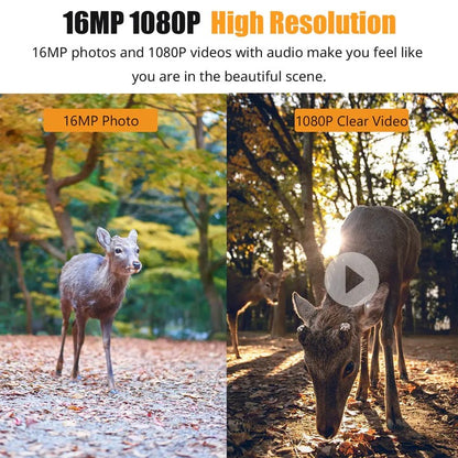 Wireless Outdoor Trail Camera with 1080P Night Vision Recording