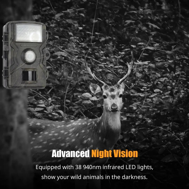 Wireless Outdoor Trail Camera with 1080P Night Vision Recording