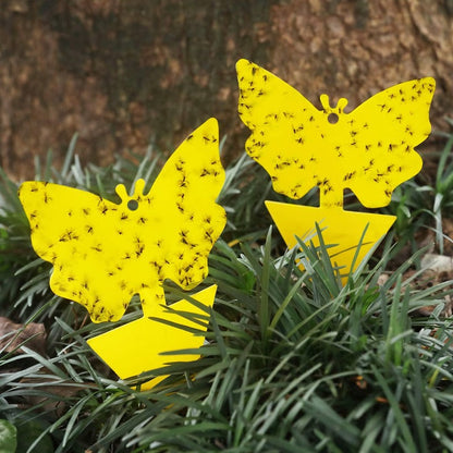 Sticky Glue Trap for Flying Insects and Fungus Gnats