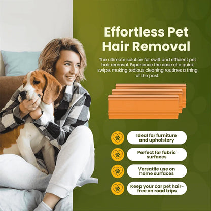 Reusable Pet Hair Remover Brush for Furniture and Vehicle Interiors