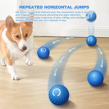 Rechargeable Interactive Rolling Ball with Random Rolling Motion