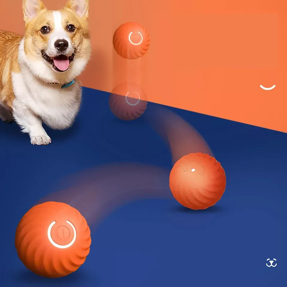 Rechargeable Interactive Rolling Ball with Random Rolling Motion