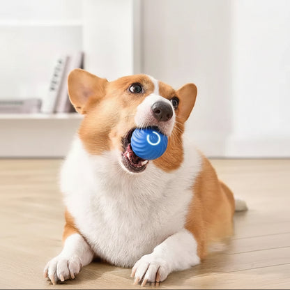 Rechargeable Interactive Rolling Ball with Random Rolling Motion