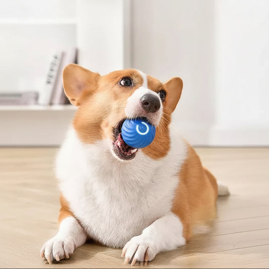 Rechargeable Interactive Rolling Ball with Random Rolling Motion